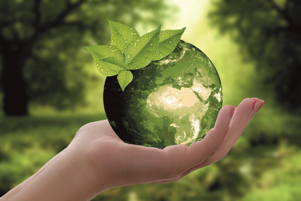 OFTEC and UKIFDA Future Ready Fuel Campaign
