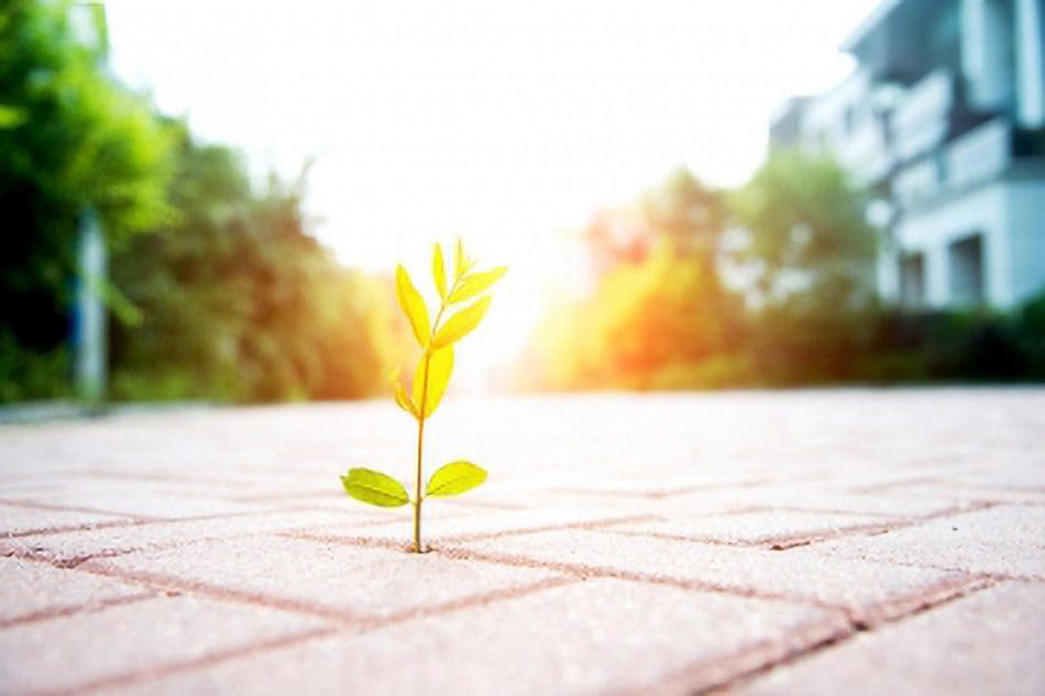 A look at the challenge of balancing the needs for a lower carbon future with the needs of today.